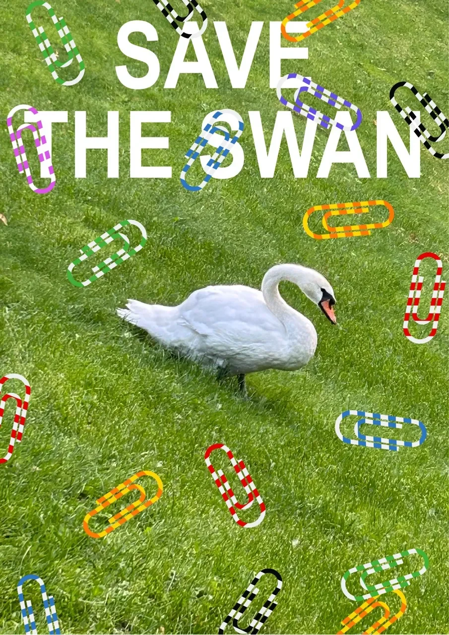 Save the swan poster